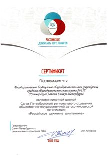 Пилотная школа РДШ